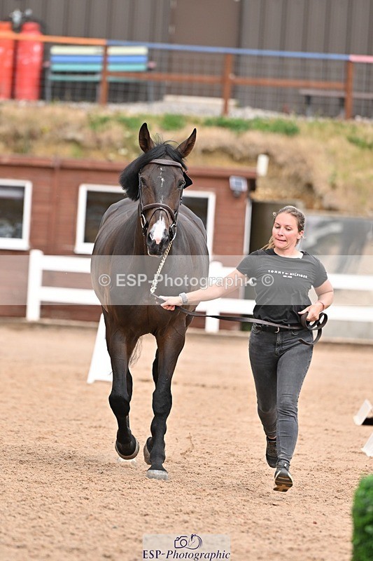 250716-162239-02600 - Trot Up 3.30 to 4.30