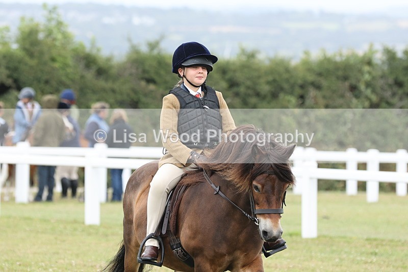 JPP_1762 - Class 18: Tiny Tots Working Hunter Pony