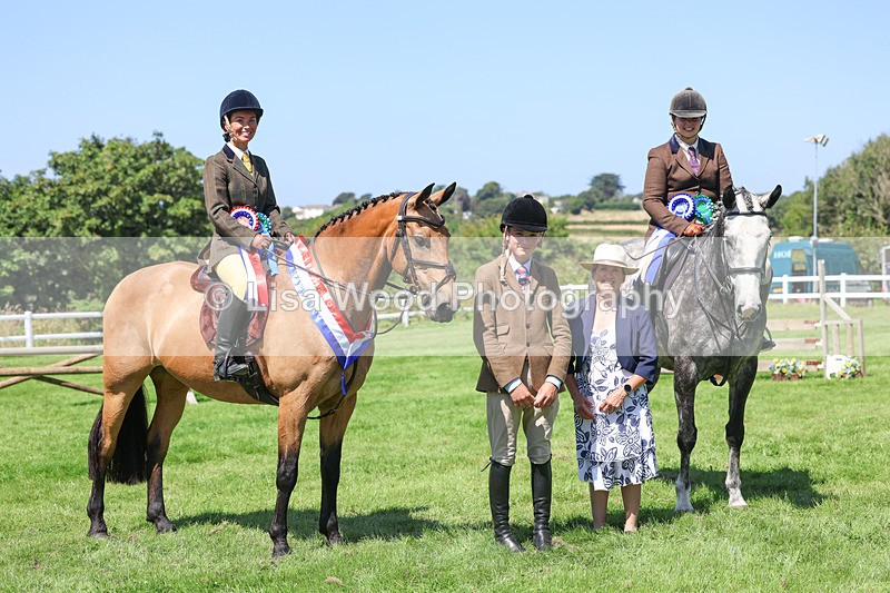 3E7A9335 - Working Hunter Championship