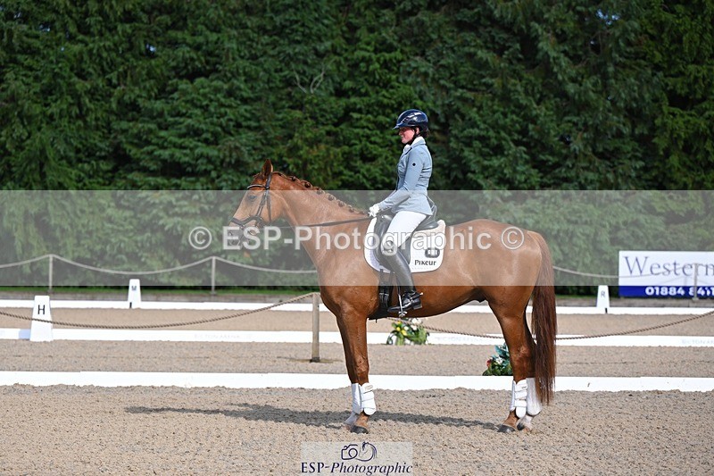 240809-163551-02408 - Novice Gold