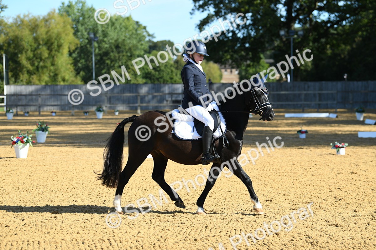 SBM_16300 - D4 - Small Tour Championship - Intro B