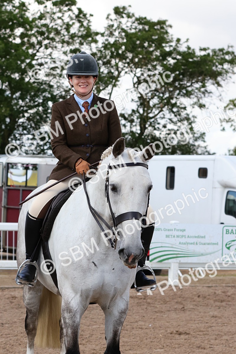 SBM_13532 - Class 212 - Ridden Hunter  - Large