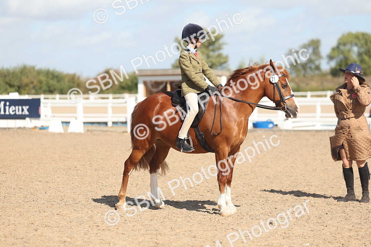 SBM_23068 - Class 806 - Young Rider 10ry and Under