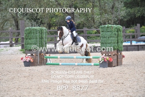 BPP_8877 - CLASS 3 40CM