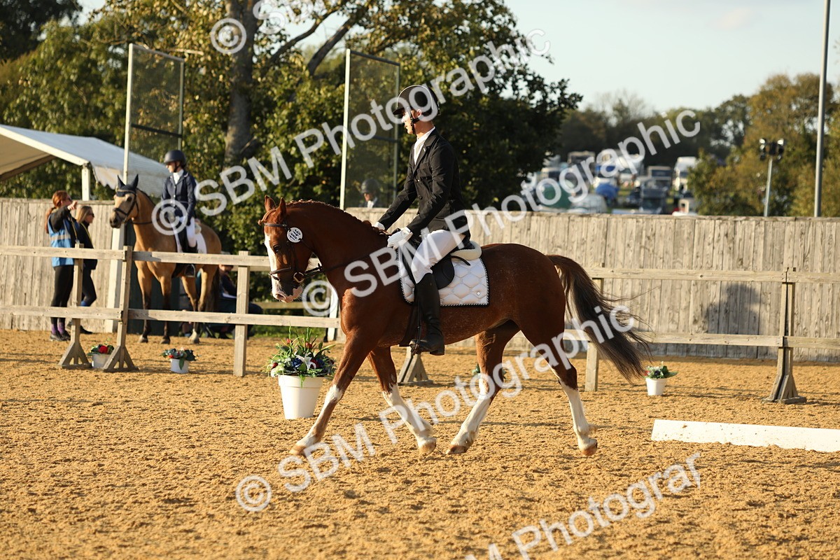 SBM_55226 - D25 - Junior Championships - Novice 24-Elementary 42