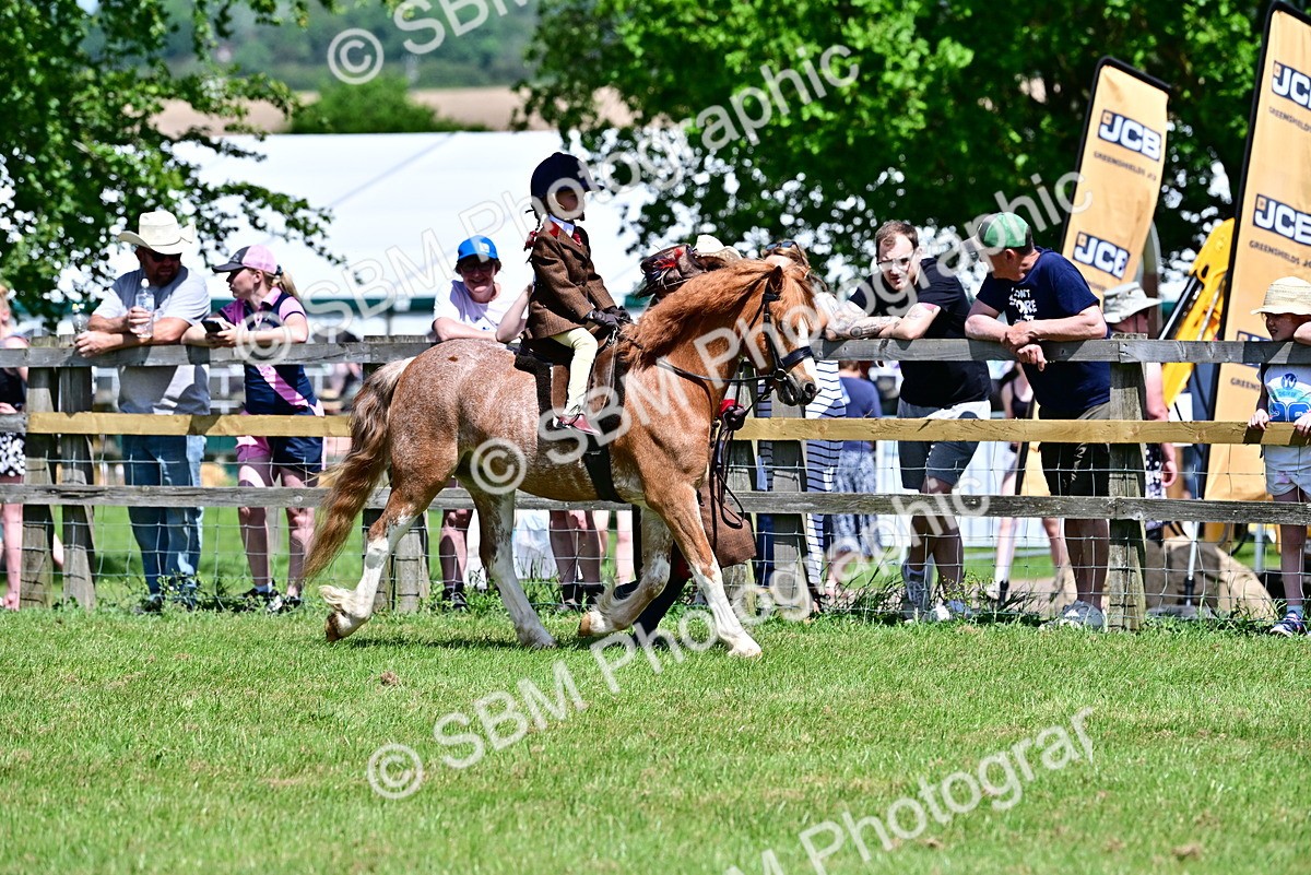 SBM_05849 - Class 59-60 - TSR M&M  Lear Rein and First Ridden Amateur of the year