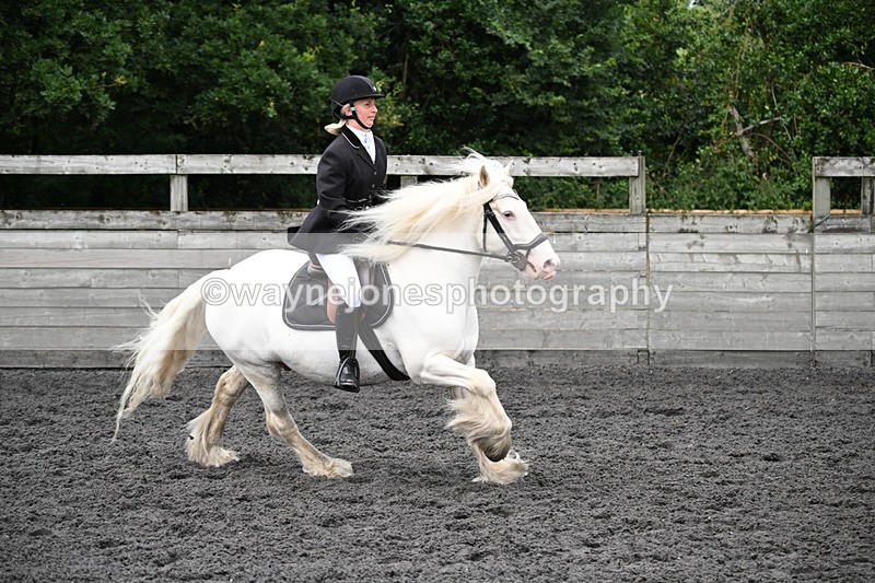 WJ6_0258 - Class 13 Novice 60cm