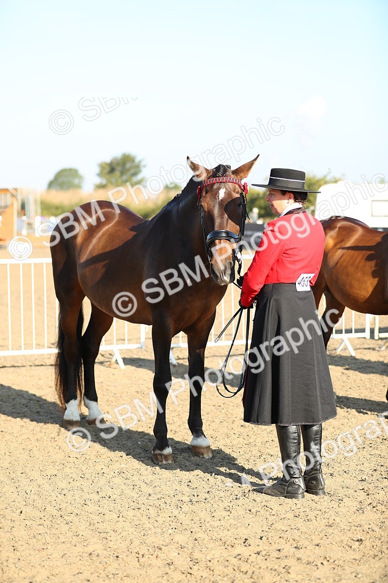 SBM_00008 - Class 40 Best Turned Out IH