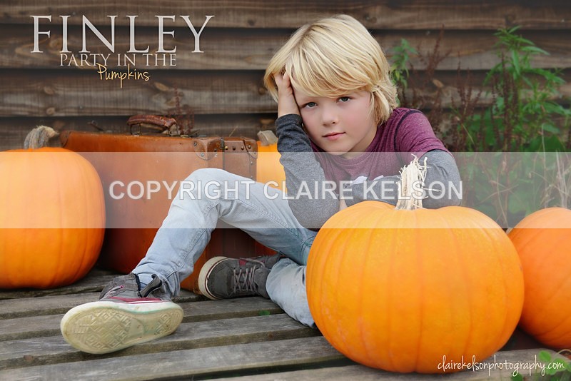 DSC_8786-3a copy - SEASONAL OUTDOOR SHOOTS - PUMPKINS