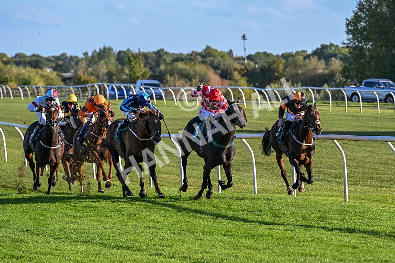 300926-Race 6-Wait For It-6880 - Race 6 4.50pm racingtv.com Handicap