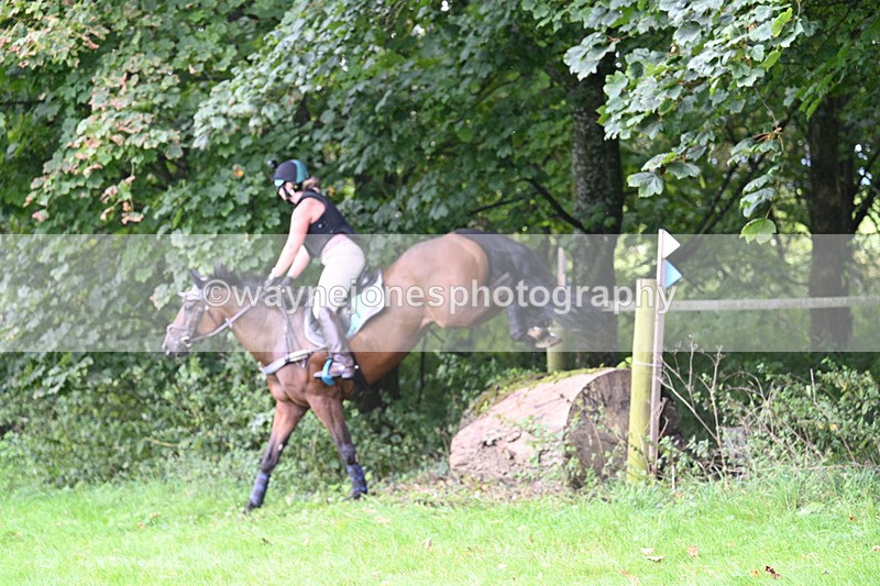 WJ7_8140 - Time 14:11 to 14:30