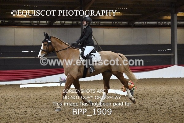 BPP_1909 - INTRO TEST 3