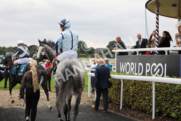 yr18082022r3-9 - Race 3 3.00pm Clipper Logistics Stakes