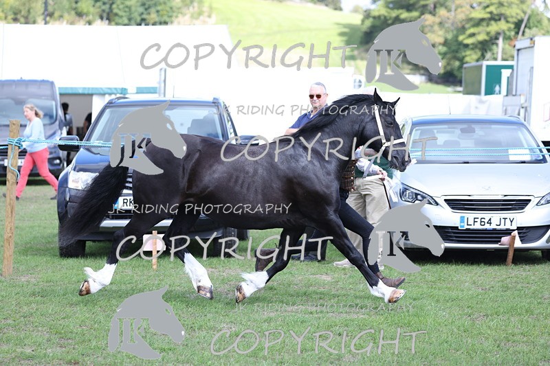 APP_2799 - Class 10a/b M&M in hand