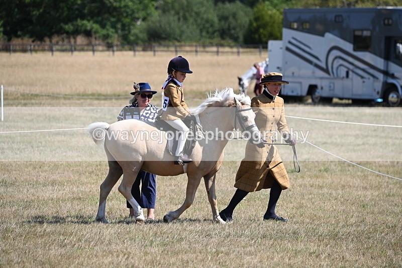 WJ6_7732 - Class 36 Lead Rein
