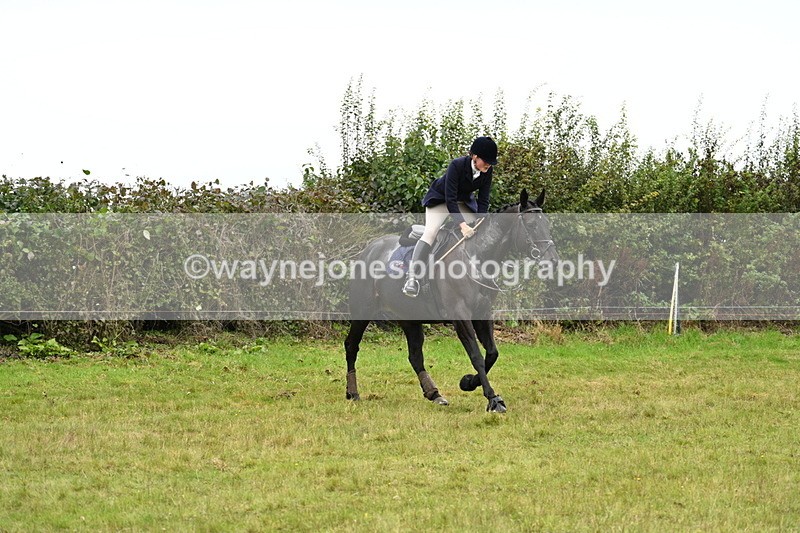 WJ7_4235 - Camera 1 Line 2