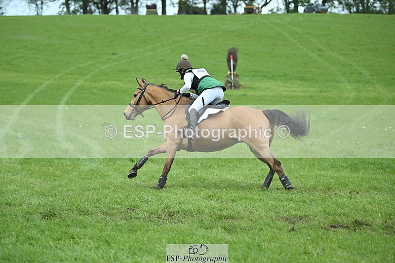 250419-155155-13165 - 622-Anna.Passmore-IVY.GOLD