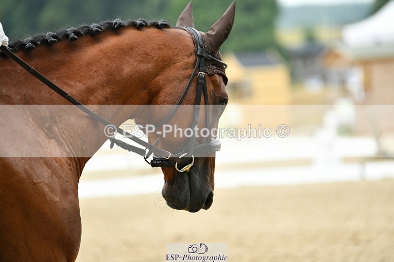 250718A-114403-01213 - 034-Sarah.Fisher-Demitrius.Lark.Endeavour