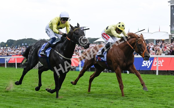 230825-006 King Of Cities - Race 1 1.50pm Sky Bet Strensall Stakes