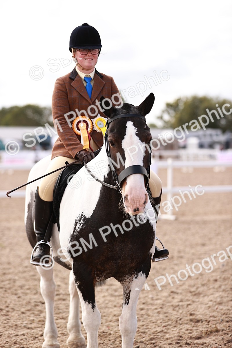 SBM_14491 - Class 410 - Grassroots Ridden - Horse