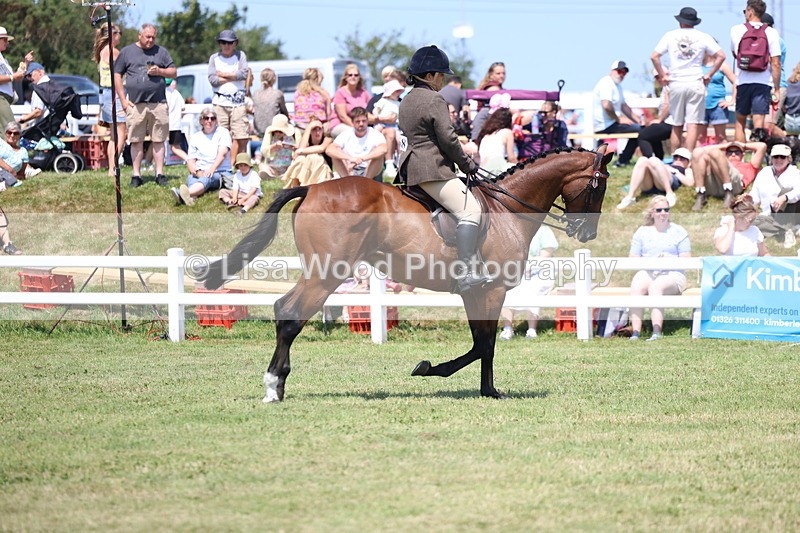 3E7A9319 - Class 12: Open Racehorse to Show Horse