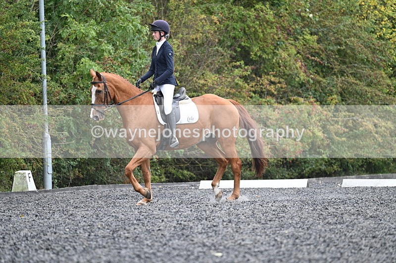 WJ7_6640 - Time 14:49 to 15:14