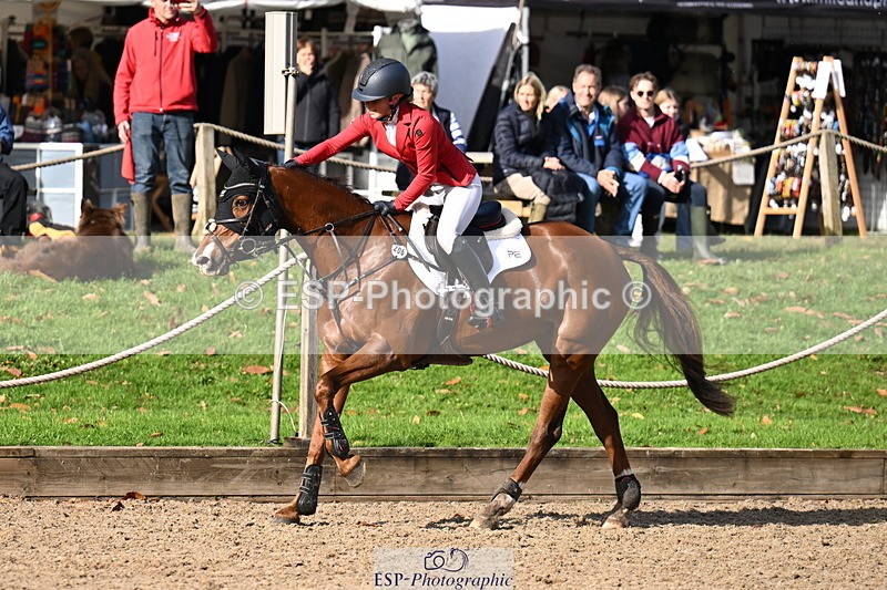 251024A-121607-10288 - C-206-Madison.Tapner