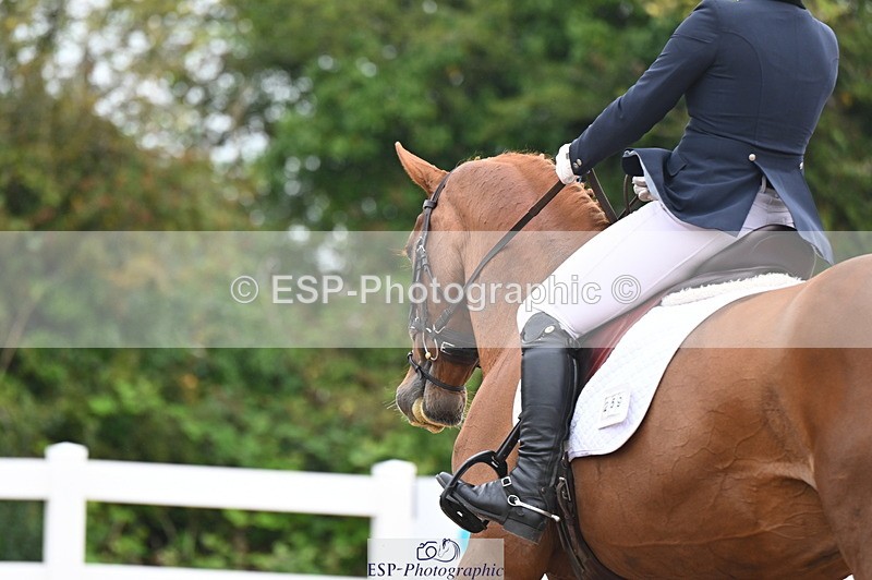 240815A-103333-00120 - 259-Amy.Harris-Stormhill.ultima