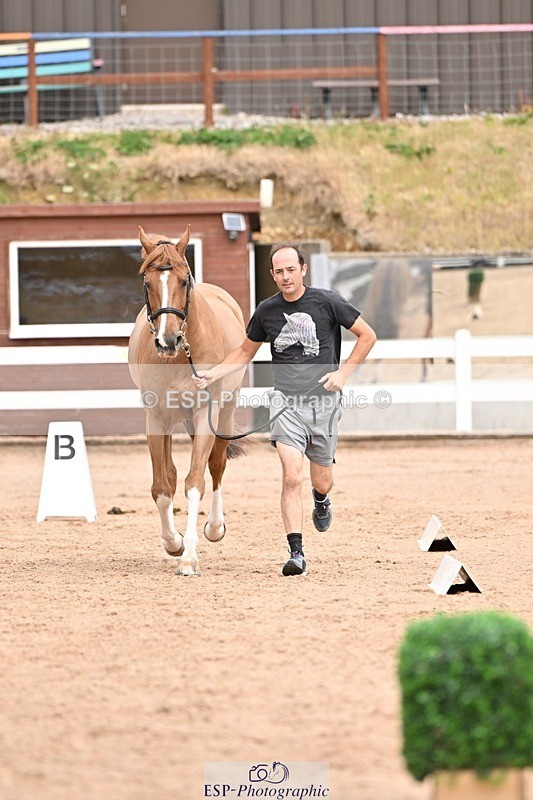 250716-153930-02082 - Trot Up 3.30 to 4.30