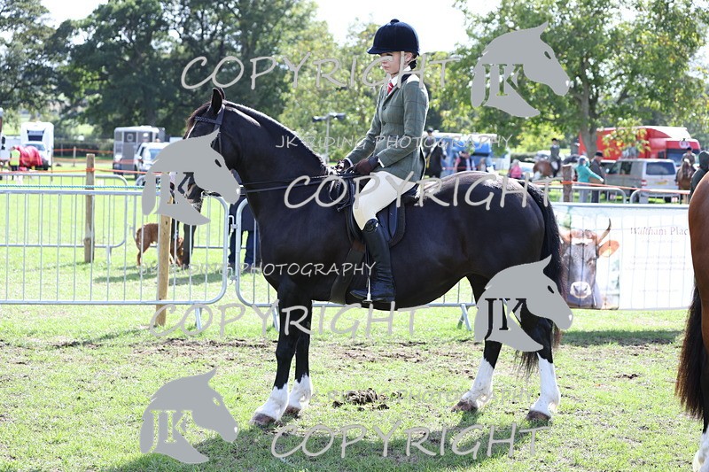 APP_3697 - Class 12 M&M ridden