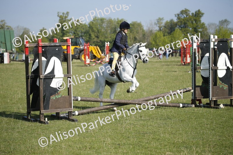 20250427-0288 - Class 12 - Rookie Jumping 40cm