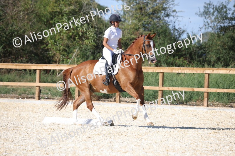 20260905-1539 - Class 5 - Novice 2