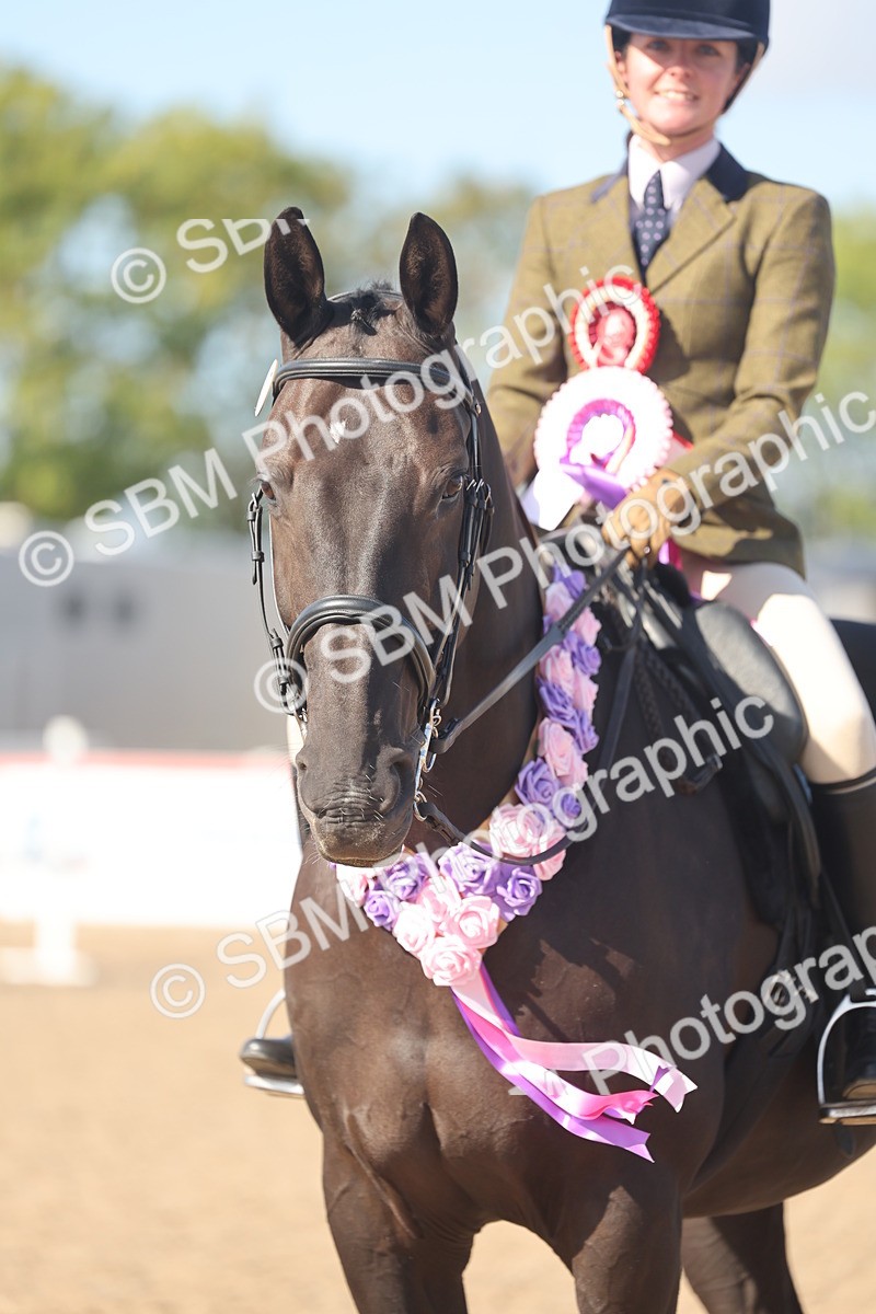 SBM_22694 - Class 805 - Ridden Veteran Horse