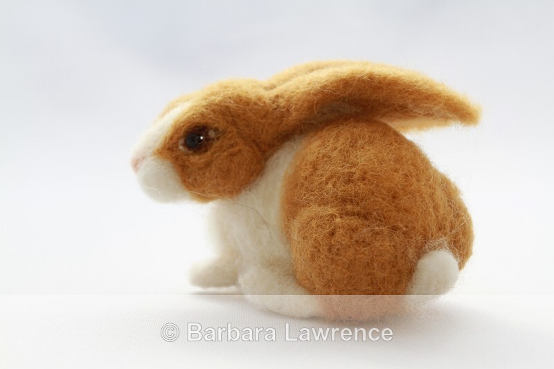 Dutch Rabbit (Tan version) Photo 3 - Gallery