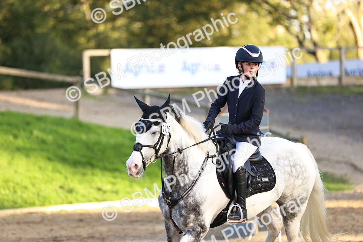 SBM_54332 - Supreme Championship 70cm 75cm