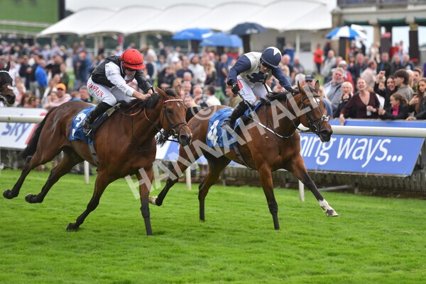 yr19082021r6-22 - Race 6 4.45pm British EBF & Sir Henry Cecil Galtres Stakes