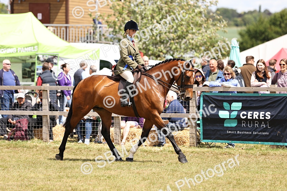SBM_14778 - Class 88-89 - LIHS BSHA Rising Star of Ridden Hunter Type