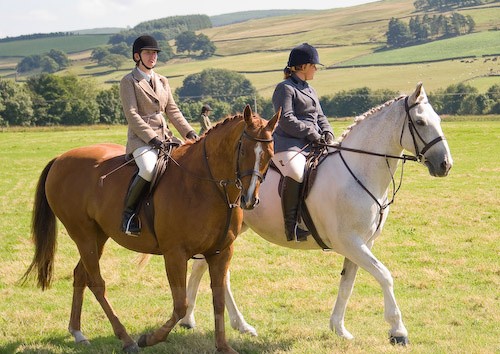 142 - Moniaive Horse Show 2008