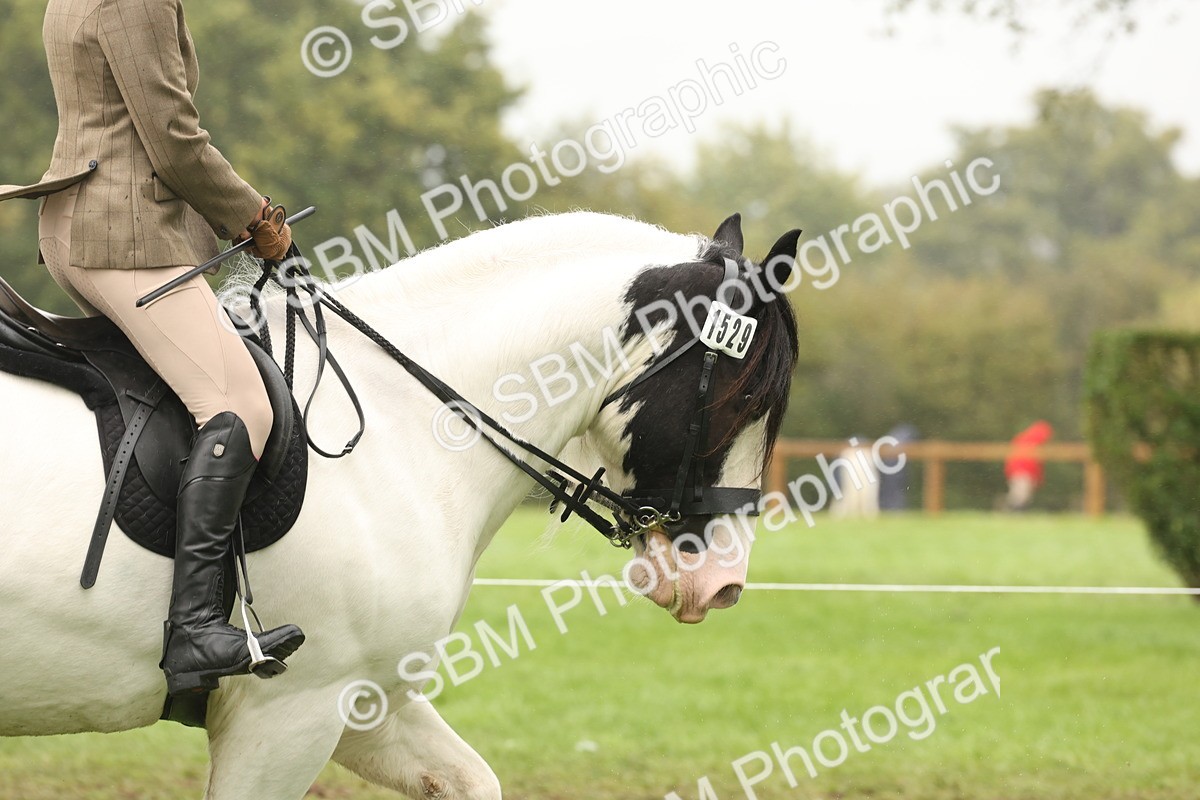 SBM_72687 - S70 - Traditional Cob Ridden