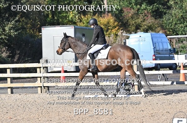 BPP_8581 - SHORT ARENA INTRO 3