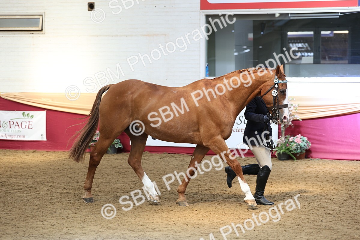 SBM_24102 - Class 905 - Supreme Final - Ridden Veteran