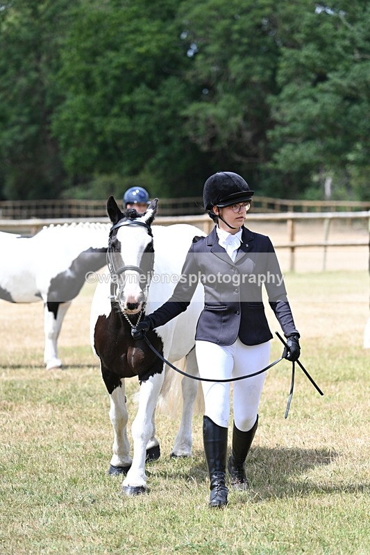 WJ7_1732 - Class 4 Prettiest Mare up to 14.2hh in hand