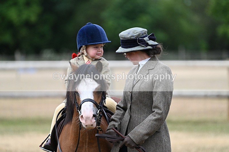 WJ7_9704 - Class 1 Lead Rein Pony