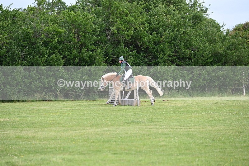 WJ6_2261 - Class 2 40cm