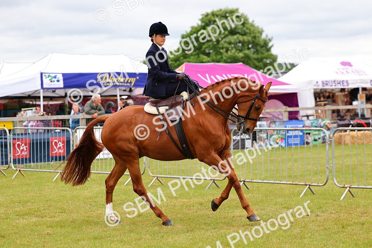 SBM_02876 - Class 9-11 Side Saddle including LIHS Rising Star Ladies Show Horse