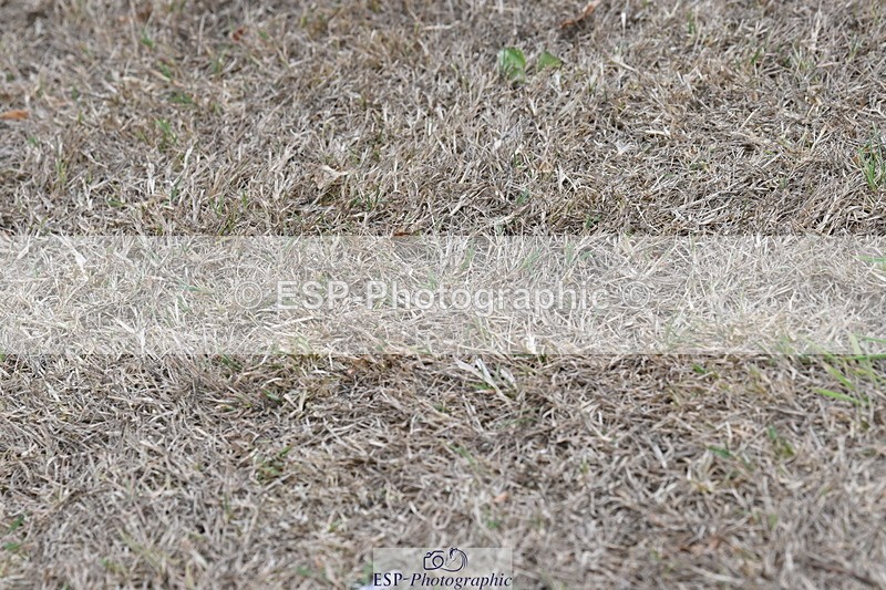 250820A-173843-12137 - Wednesday Presentations