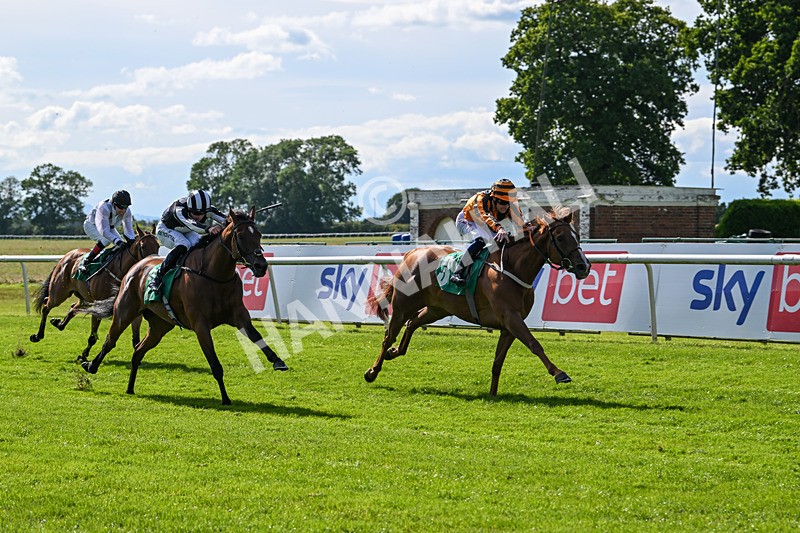 160624-Race 3-Mereside Diva-8528 - Race 3