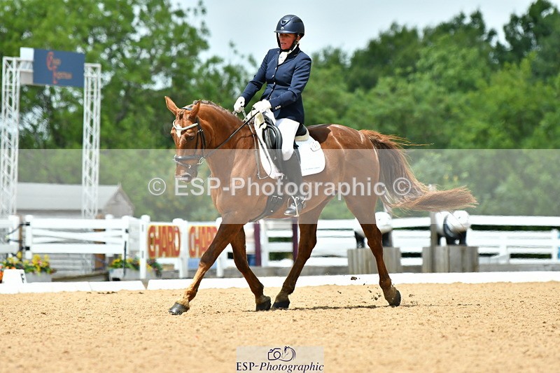 230701A-135313-06590 - Cls 10 Medium 69