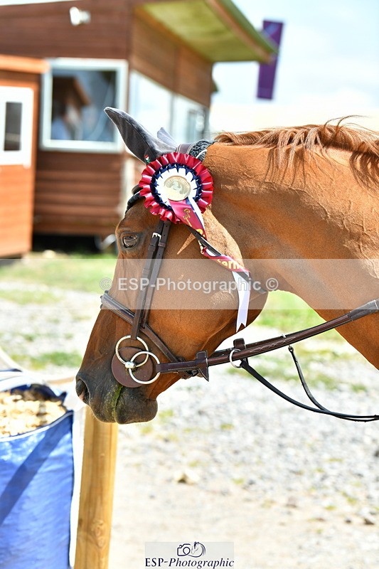 230720A-130117-03024 - Cls 33, 7 Yr Olds 1.30m