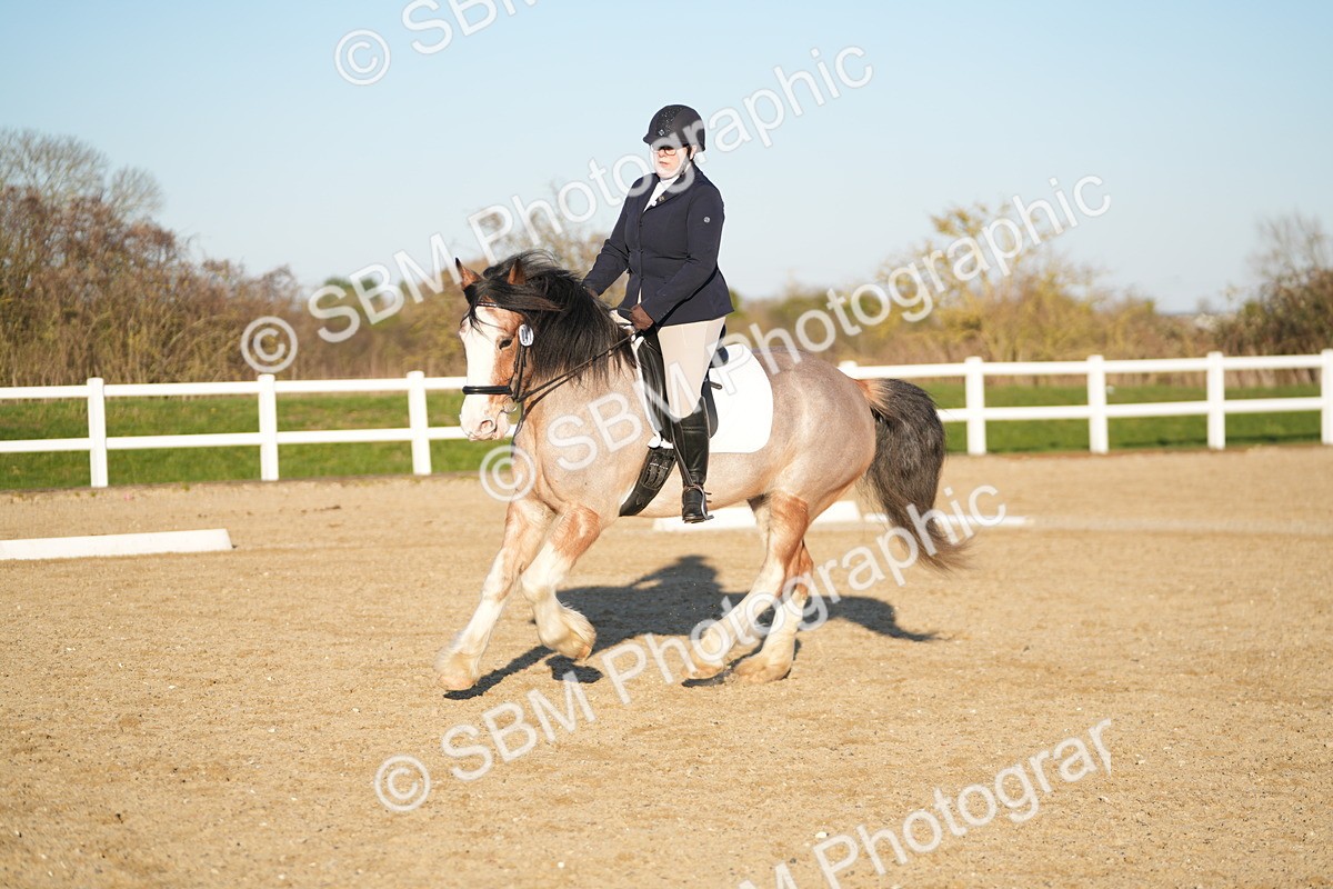 SBM_005818 - Class 6 - E1-80cm